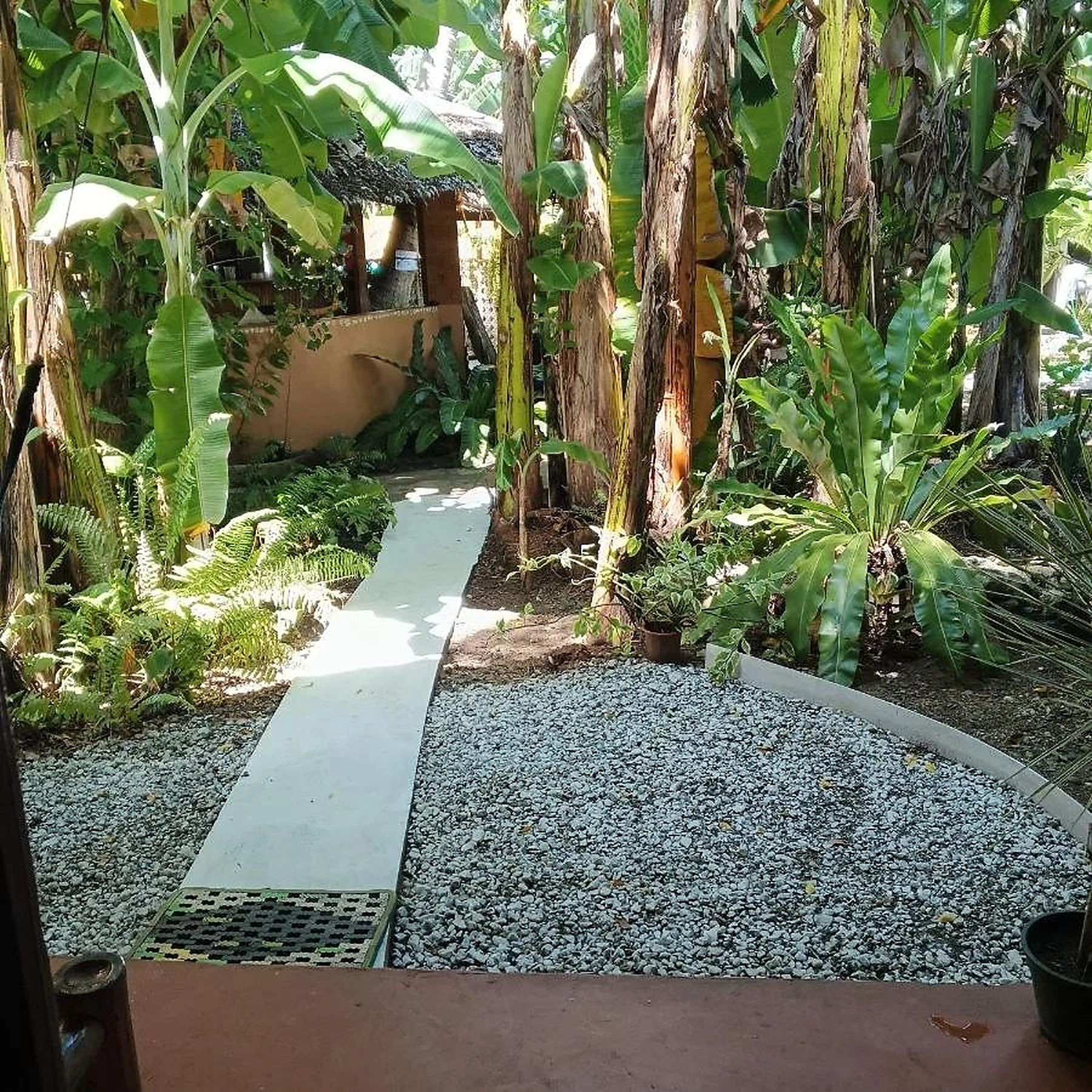 Leafy path through the guesthouse garden